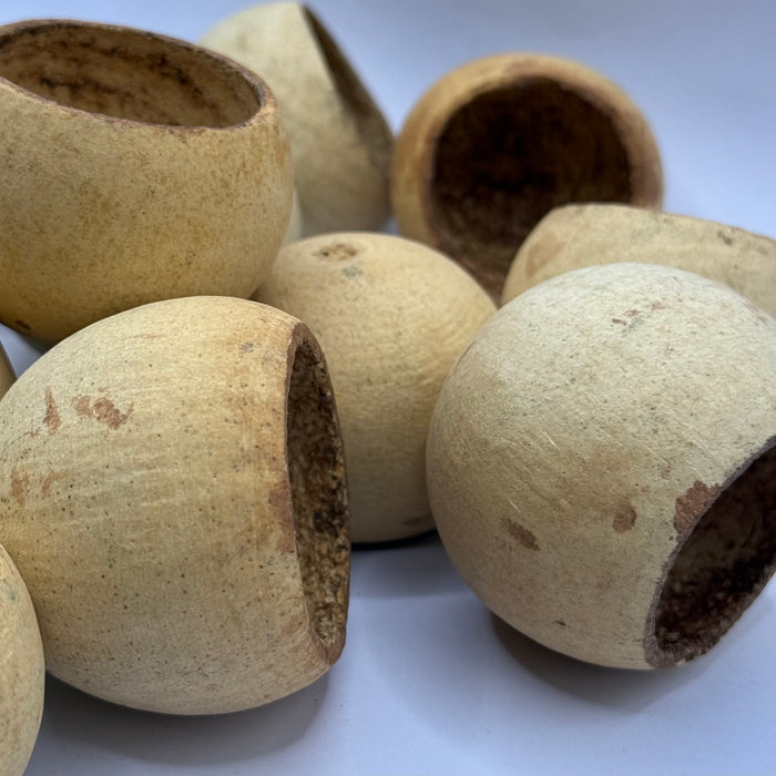 Wood apple pods
