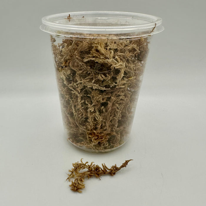 Sphagnum moss 1L