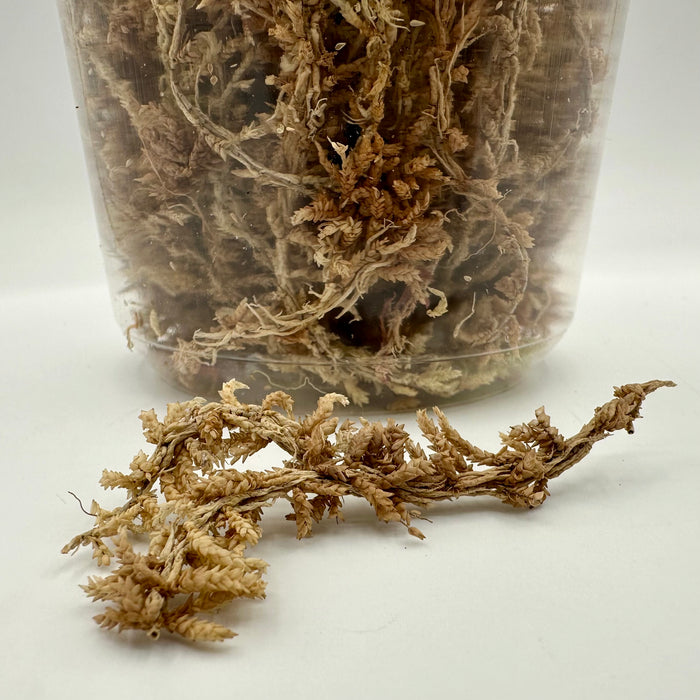 Sphagnum moss 1L