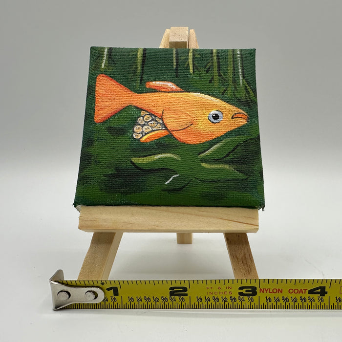 “Youkihi Ricefish” 3”x3”