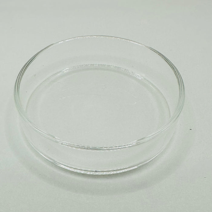 Glass Feeding Dish - Select Size