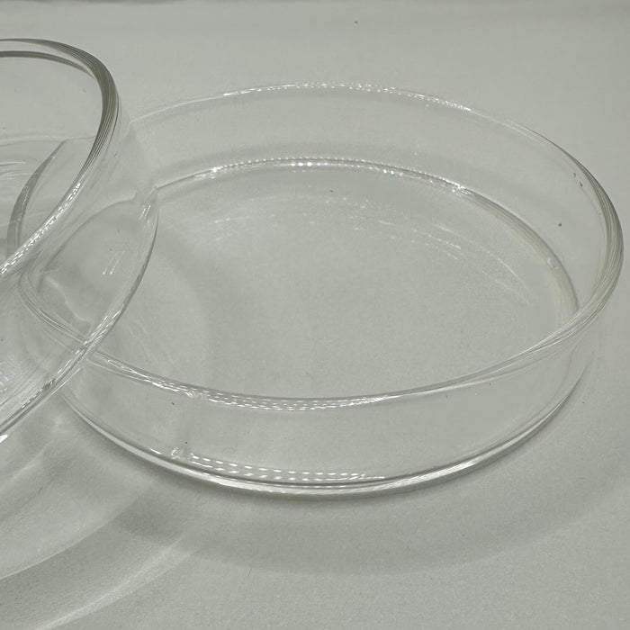 Glass Feeding Dish - Select Size