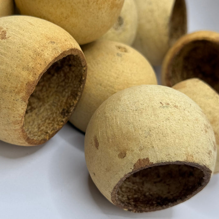 Wood apple pods