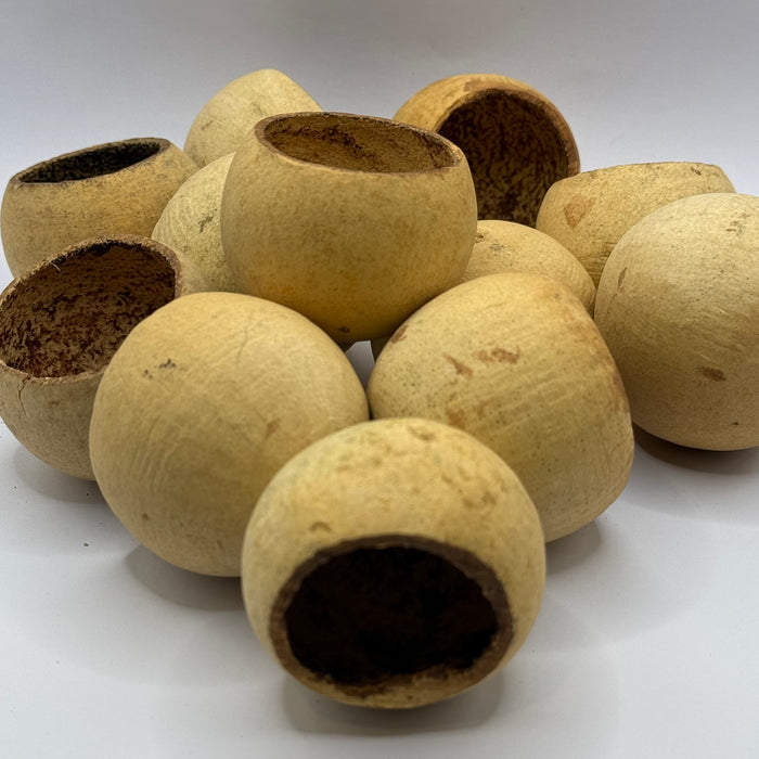 Wood apple pods