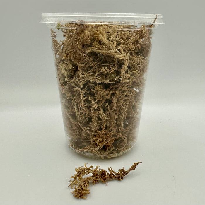 Sphagnum moss 1L