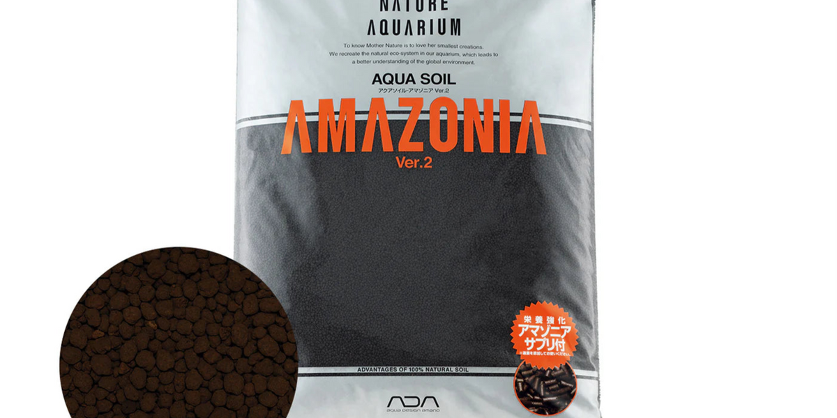自然石 水石 約20cm ADA ADA Amazonia Ver.2 Aqua Soil — Fishiotherapy