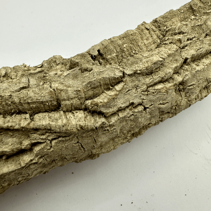 Cork Wood Branch - Small