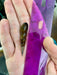 Chopstick Snails (Stenomelania Torulosa)