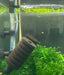 dual sponge filter in aquarium