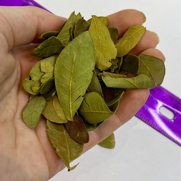 handful of nano leaves